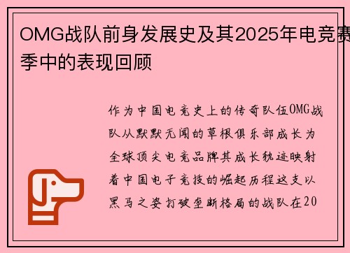 OMG战队前身发展史及其2025年电竞赛季中的表现回顾